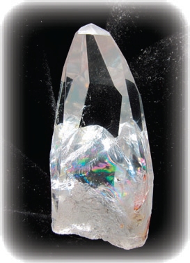 Rainbow Lemurian